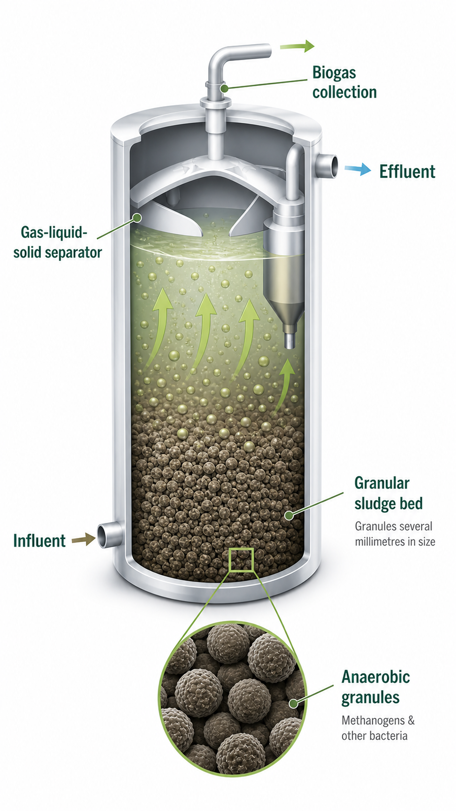 visual of anerobic granules